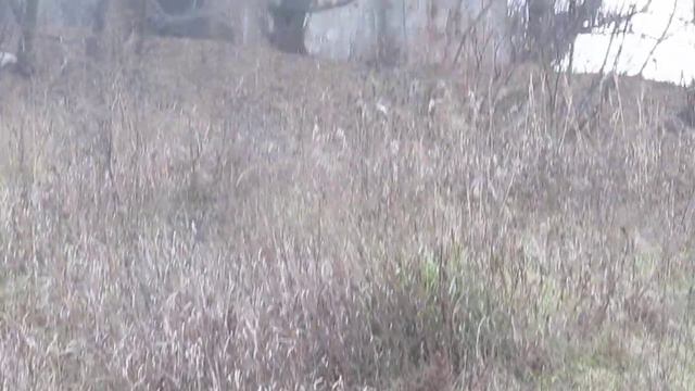Река Липовка загрязняется мусором из гаражей смотреть онлайн