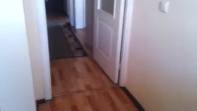 Прикол: ребенок боится тюльпанов))) смотреть онлайн