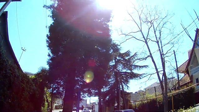 Дорога от ЖК Дагомыс Парк до пляжа Дагомыс