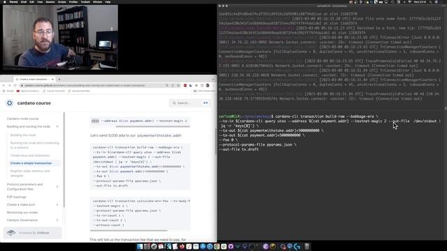 Node course | Simple transactions using the "build-raw" command смотреть онлайн