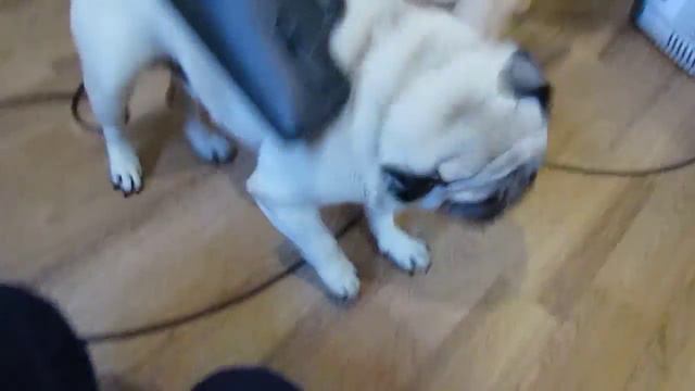 MVI 6179 смотреть онлайн