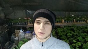 ТОП 10 однолетних цветов на продажу в мае/июне