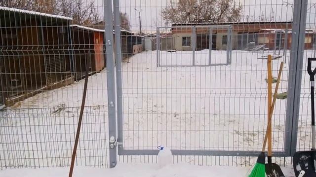 Стартовая смотреть онлайн