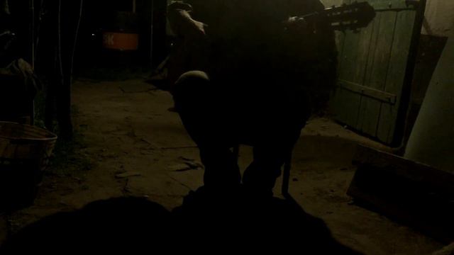 Егор Летов - Лоботомия - Fingerstyle Cover