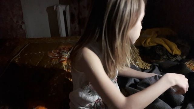 Как ухаживать за породой собак чихуахуа смотреть онлайн