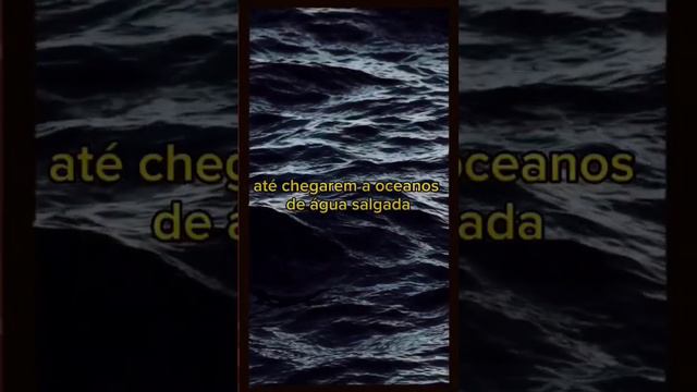 por que a água do mar é salgada - De onde vem o sal do mar смотреть онлайн