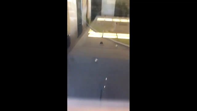 ЖК №Морская набережная