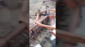 Биг 3, борона игольчатая.