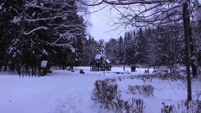 Оценка состояния Окружающей Среды в Зеленограде смотреть онлайн