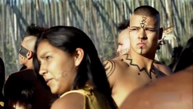 Интересные факты о ядовитых растениях