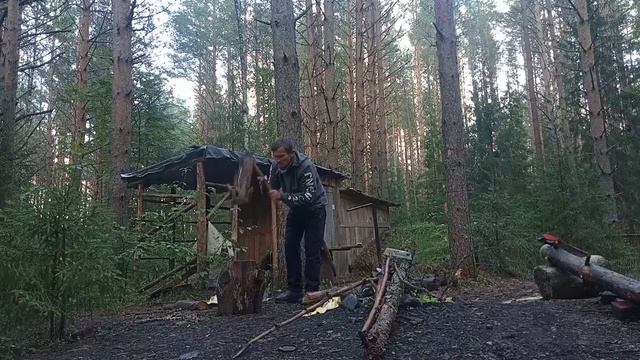 Живу в таёжной избе! Готовим вкусняшки! Гроза роняет деревья. Рыбалка на спиннинг! смотреть онлайн