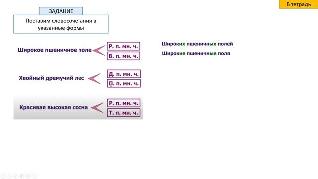 Русский язык 4 класс Склонение имён прилагательных во множественном числе смотреть онлайн