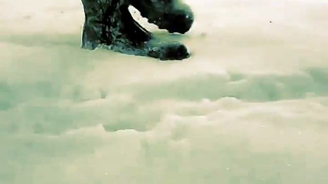 My SV. Street mudding & snowing in my Grubs Treeline 10,5 insulated boots. смотреть онлайн