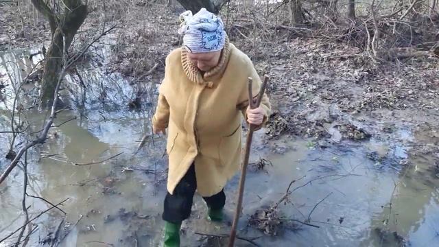 Грибы аурикулярия для Тины! смотреть онлайн