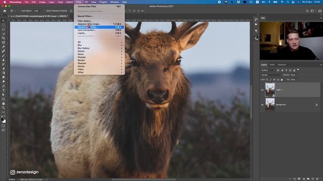 How To Minimal Post Process Your Wildlife Photos in Photoshop смотреть онлайн