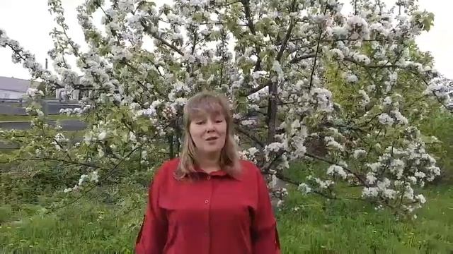 Поздравление классных руководителей 9 классов смотреть онлайн