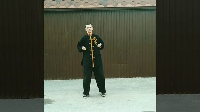 Wingchun. Mook Yan Jong Form In Air. Sections 1 And 2.