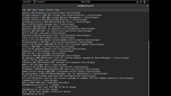 Linux /etc/passwd & /etc/shadow File