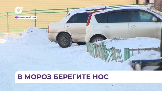 Как провести зиму без переохлаждений и обморожений