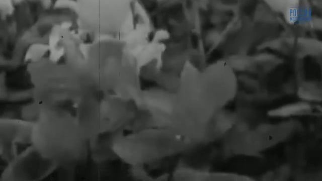 8 марта. История праздника