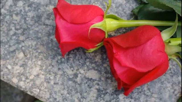 Три обязательных дела которые нужно сделать ДО РАДОНИЦЫ 25 апреля. Молитва на Радоницу.Радоница 202 смотреть онлайн