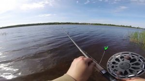 Девушка обловила!Поплавочка с инерционной катушкой на реке