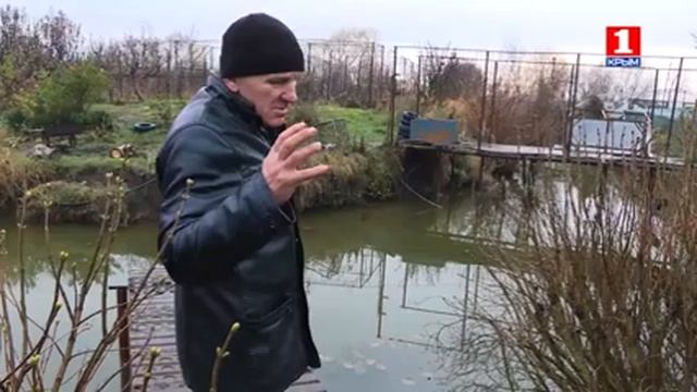 Хвойное счастье смотреть онлайн