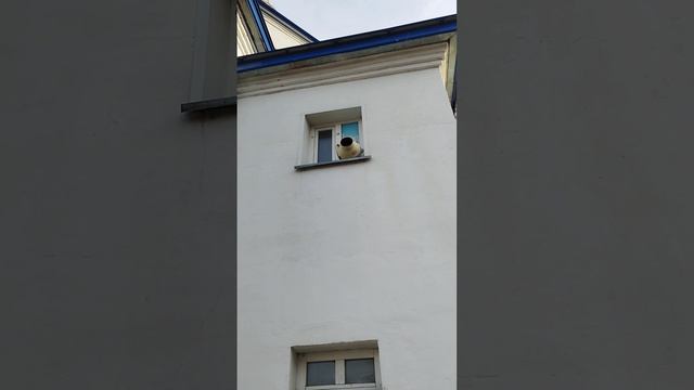 4 мая 2023 г. смотреть онлайн