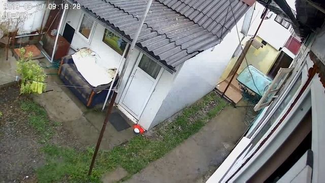 Беспредел семьи Атакян г Сочи Атакян Артур Арамович стреляет по моей видеокамере смотреть онлайн