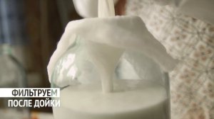 «Домик в деревне» Делаем, как бабушки – Фильтрация 6»