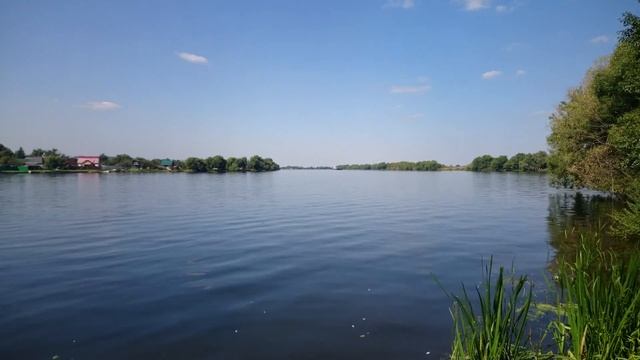 Река, природа, рыба выпрыгивает из воды, самолёты, село Софьино смотреть онлайн