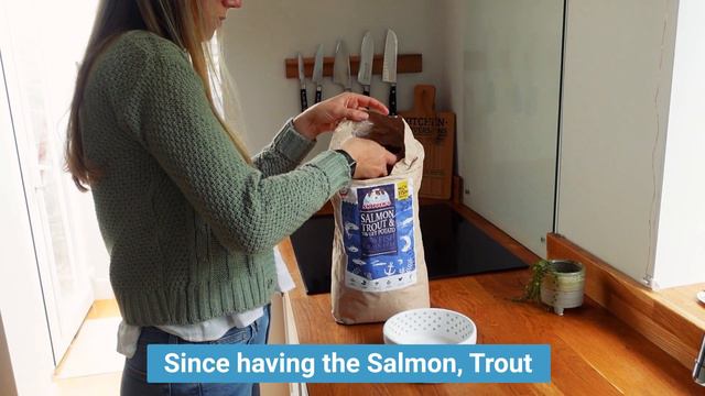 Louise & Ivy Skipper's Grain Free Dog Food Testimonial смотреть онлайн