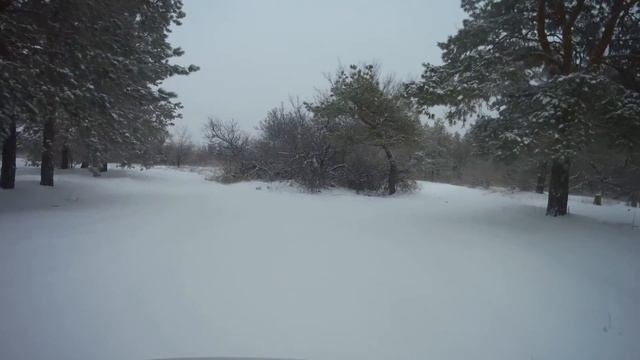 Режим 4К. Поездка в лесу. Съемка на AC ROBIN Zed5 SE.