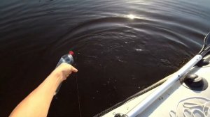 КАРАСЬ на БУТЫЛКИ! ПРЕТ КАК ТАНК!  Рыбалка в Подмосковье 2021.