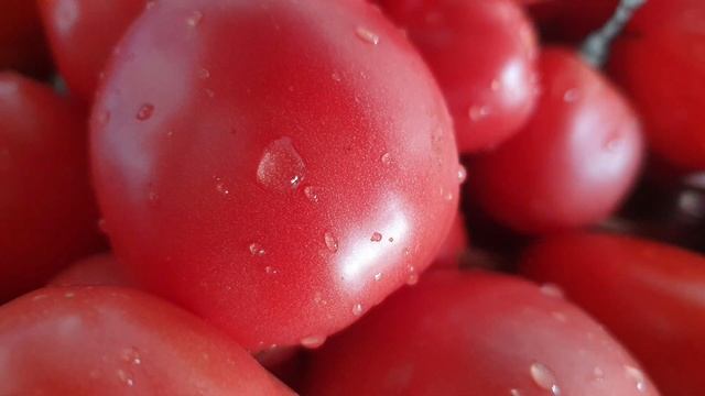 как сварить томатный сок смотреть онлайн