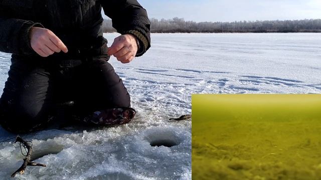Ловля ротана на жерлицы. Взгляд из подо льда смотреть онлайн