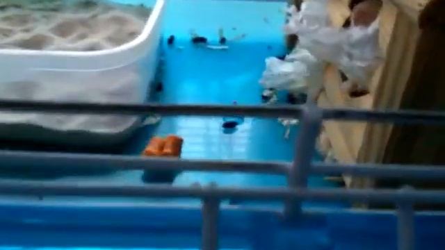 Хомяк,персик смотреть онлайн