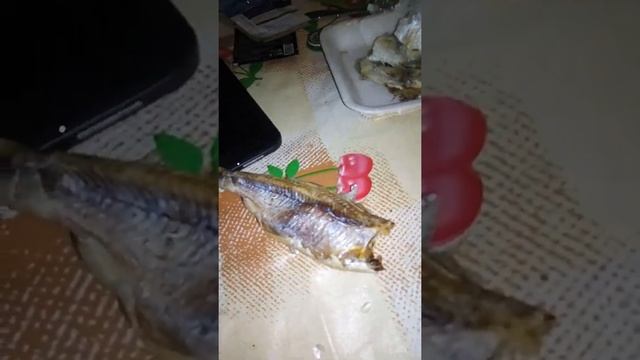 Как чистить, воблу и что в ней сьедобного. смотреть онлайн