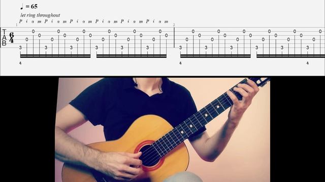 Лебедь Сен-Санс, табы, разбор. Малодия, гармония. смотреть онлайн