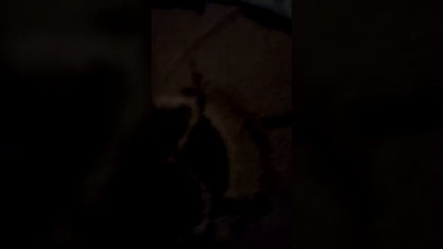 КУПИЛ IPHONE 4S ЗА 2000 РУБЛЕЙ ТОП ФЛАГМАН 2010 ГОДА ЧТО С НИМ СТАЛО? смотреть онлайн