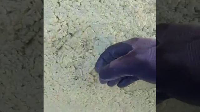 4 мая 2021 г. смотреть онлайн