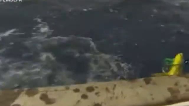 Рыбалка№4 Экстрим.wmv смотреть онлайн