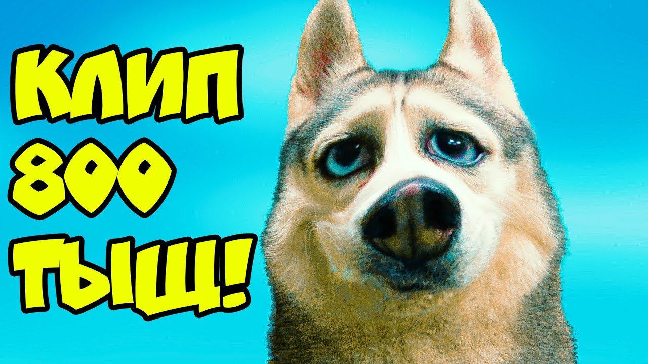 Хаски Бандит - Я ГЛАВНЫЙ ВОЛЧОК!! (Official music video) Клип на 800К. Говорящая собака смотреть онлайн