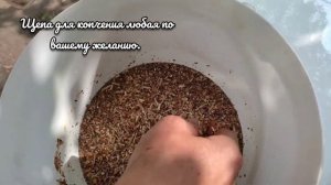 Как закоптить курицу в тандыре? Сочная курочка!