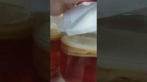 Комбуча. Чайный гриб утонул и лежит на дне.