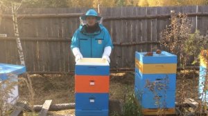 Подготовка пчел к зимовке в ульях из ППУ Ру Улей. Кормушка