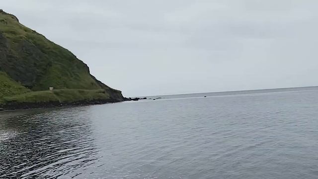 5. Островные диковинки. 013 Александровск-Сахалинский смотреть онлайн