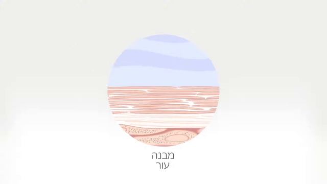 GIGI Ester C смотреть онлайн