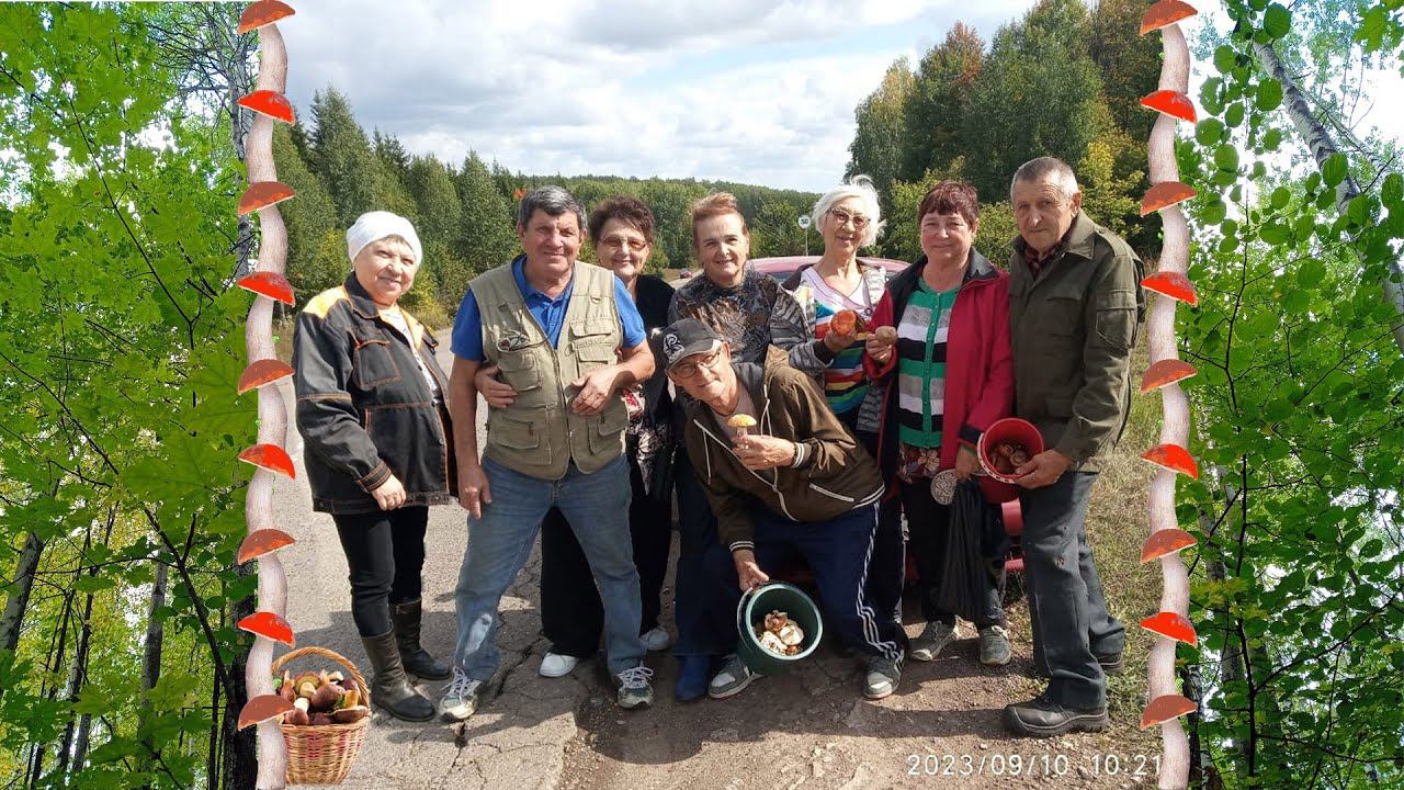 10 09 2023 Вылазка в лес за грибами