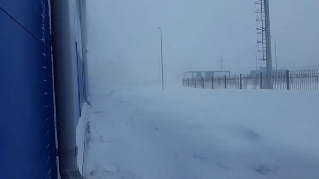 Тарко-Сале 30 апреля 2018г смотреть онлайн